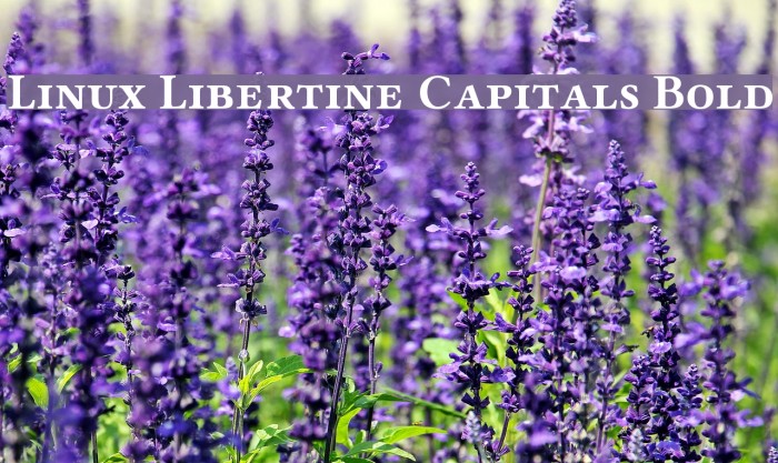 Linux Libertine Capitals Bold Font examples