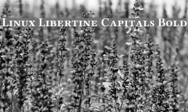 Linux Libertine Capitals Bold Font examples