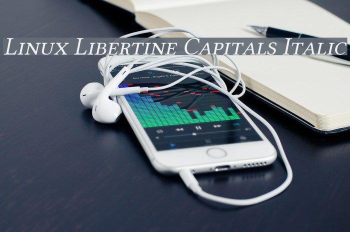 Linux Libertine Capitals Italic Font examples