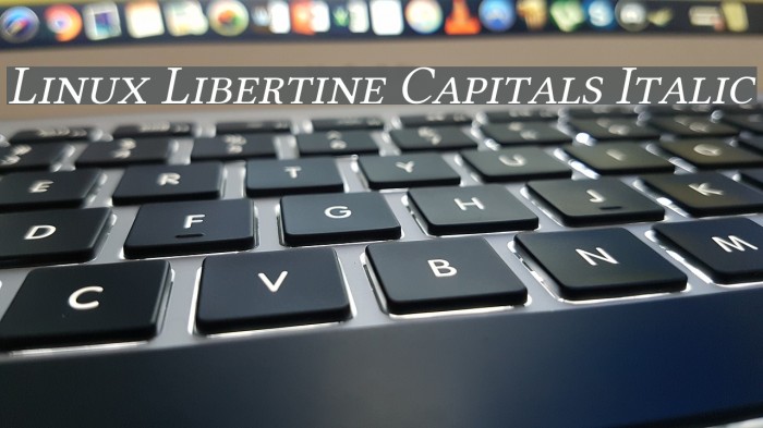 Linux Libertine Capitals Italic Font examples