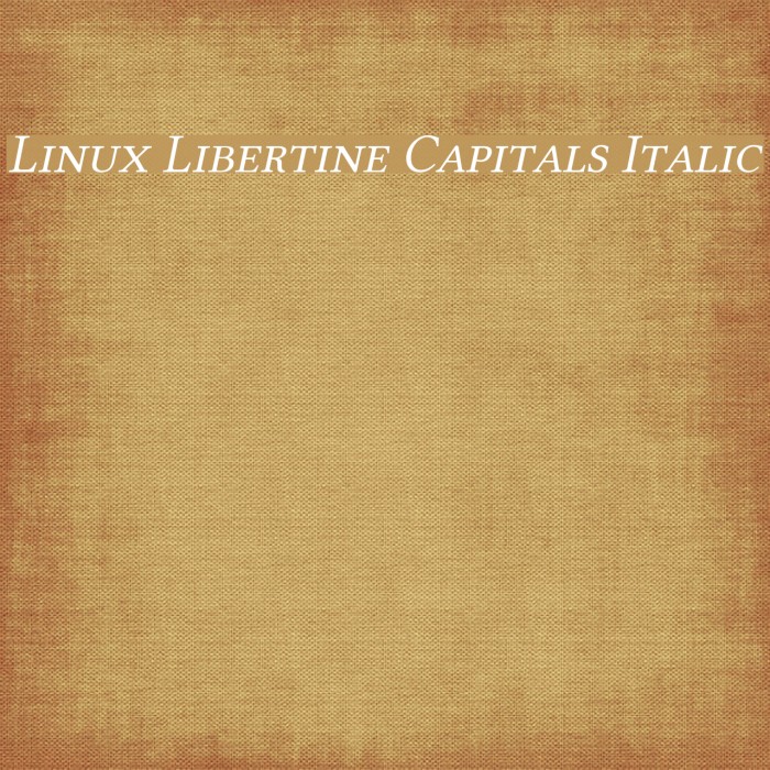 Linux Libertine Capitals Italic Font examples