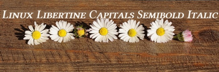 Linux Libertine Capitals Semibold Italic Font examples