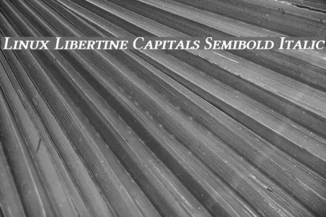 Linux Libertine Capitals Semibold Italic Font examples