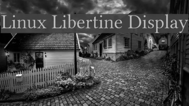Linux Libertine Display Example 1