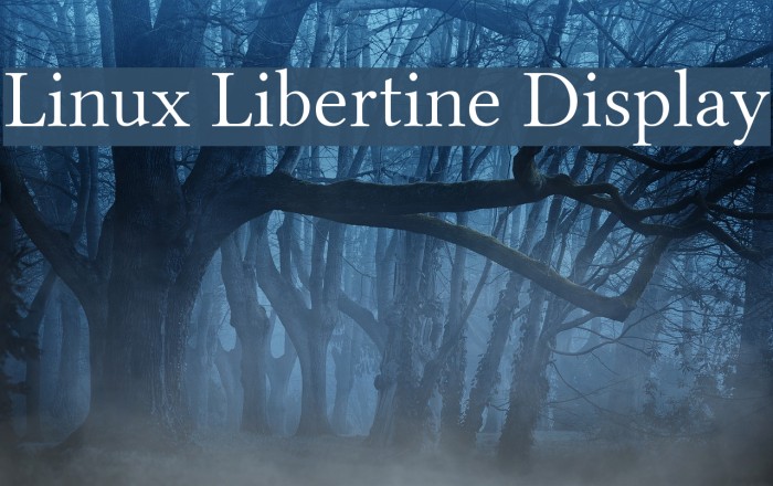 Linux Libertine Display Font examples