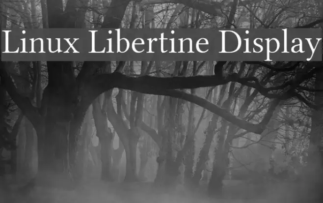 Linux Libertine Display Example 2