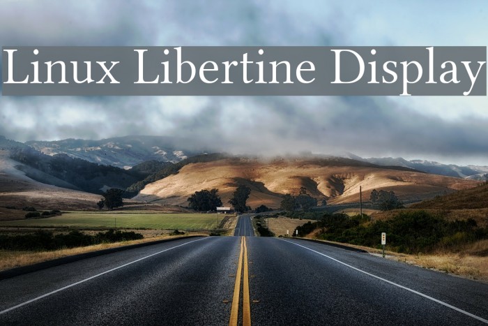 Linux Libertine Display Font examples
