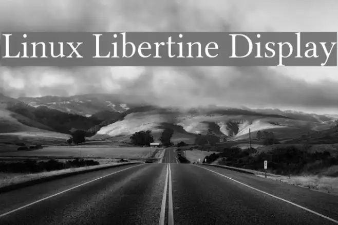Linux Libertine Display Example 3