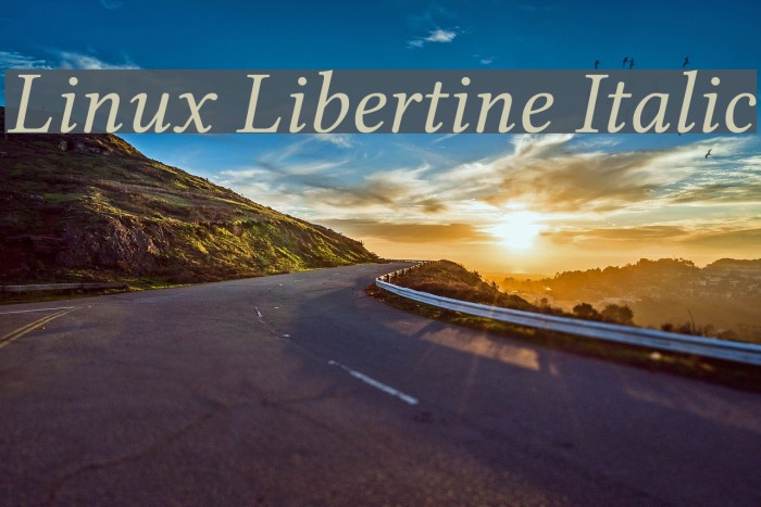 Linux Libertine Italic Font examples