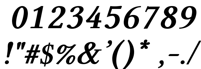 Linux Libertine O Bold Italic Font OTHER CHARS
