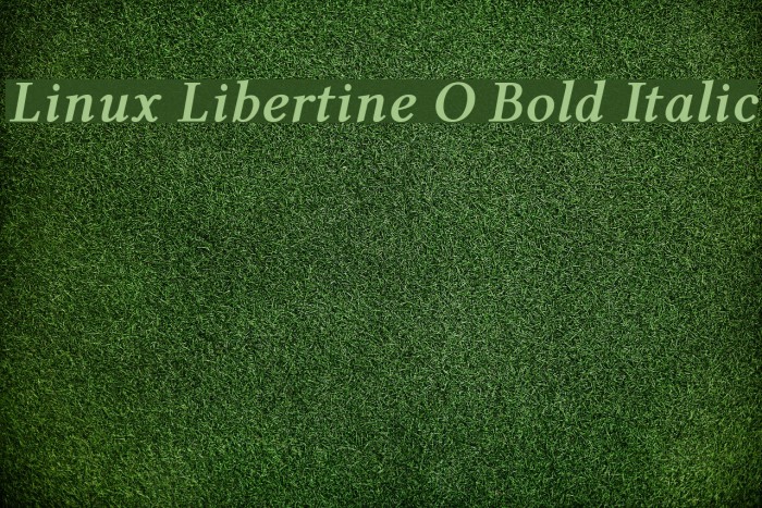 Linux Libertine O Bold Italic Font examples
