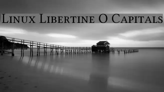 Linux Libertine O Capitals Font examples