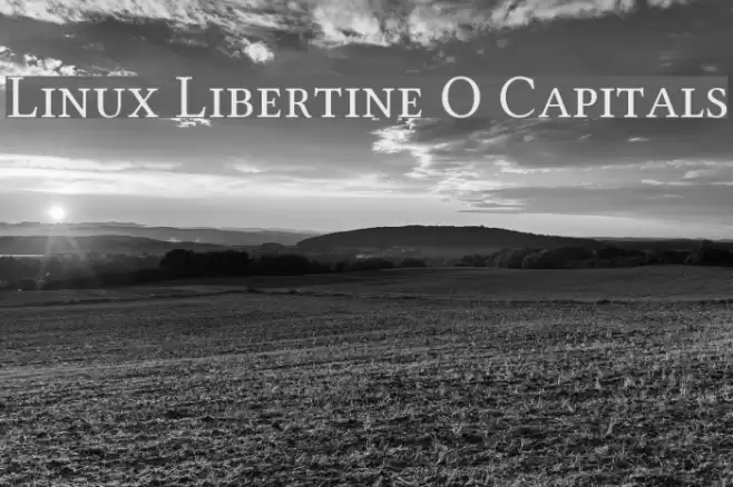 Linux Libertine O Capitals Font examples