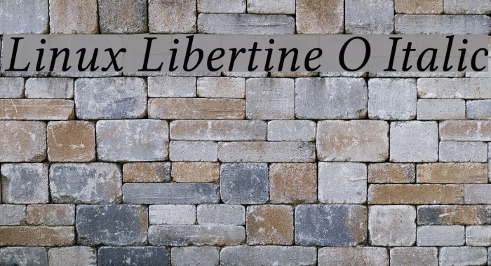 Linux Libertine O Italic Font examples