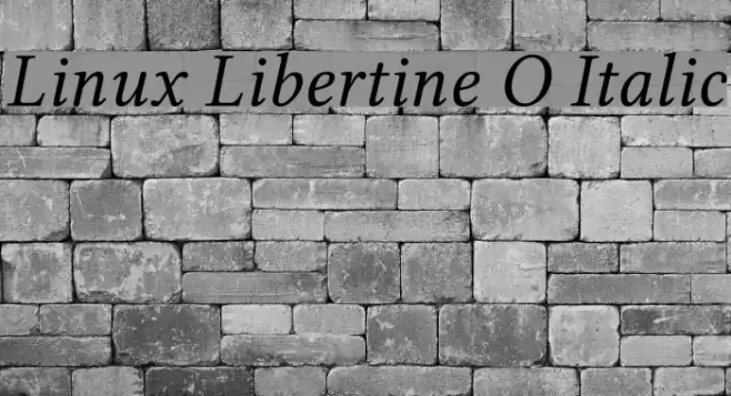 Linux Libertine O Italic Font examples