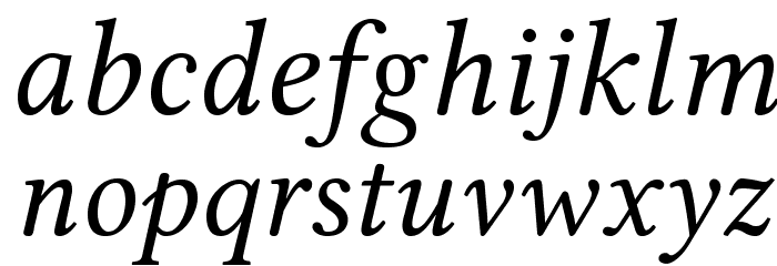Linux Libertine O Italic Font LOWERCASE