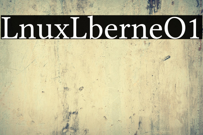 Linux Libertine O1 Example 1