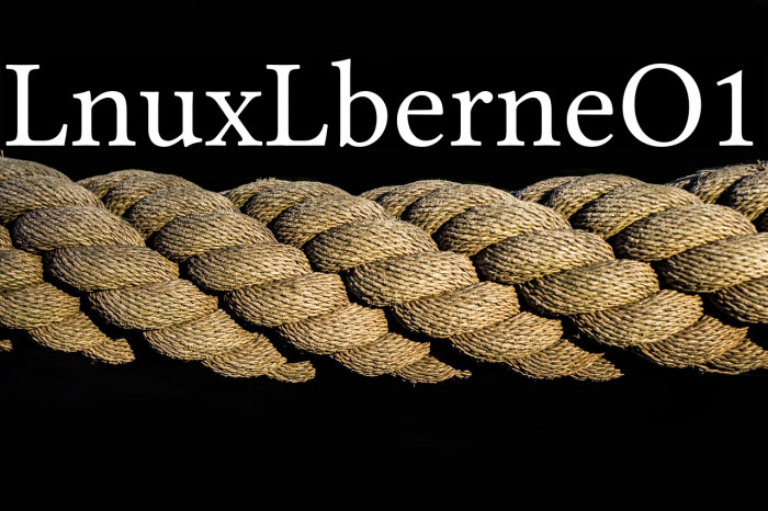 Linux Libertine O1 Example 3