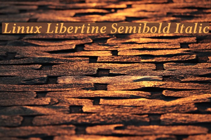 Linux Libertine Semibold Italic Font examples
