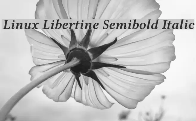 Linux Libertine Semibold Italic Font examples