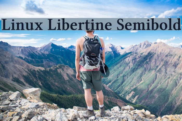 Linux Libertine Semibold Font examples