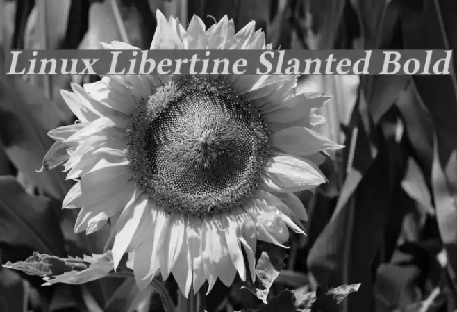 Linux Libertine Slanted Bold Font examples