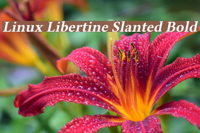 Linux Libertine Slanted Bold Font examples