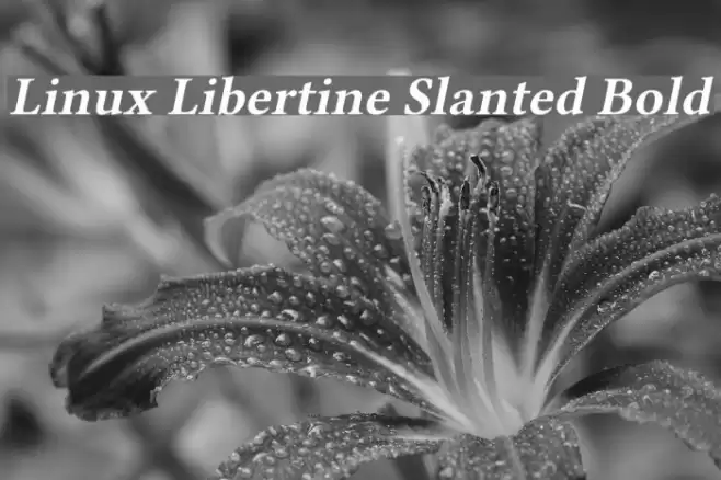 Linux Libertine Slanted Bold Font examples