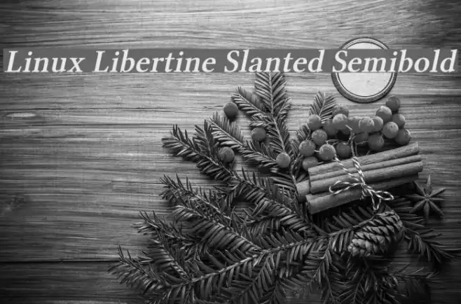 Linux Libertine Slanted Semibold Example 1
