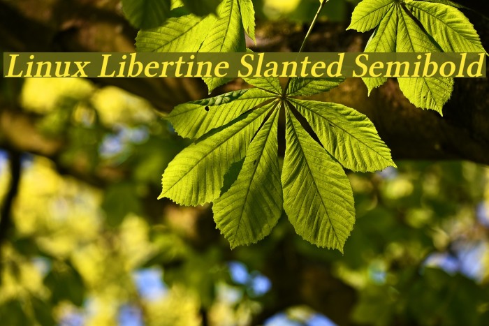 Linux Libertine Slanted Semibold Font examples