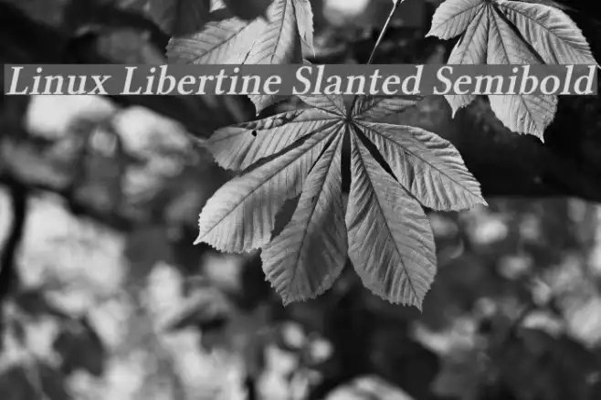 Linux Libertine Slanted Semibold Example 2