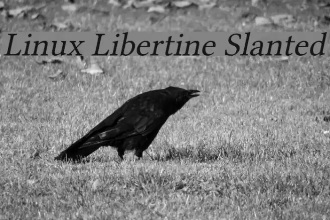 Linux Libertine Slanted Font examples