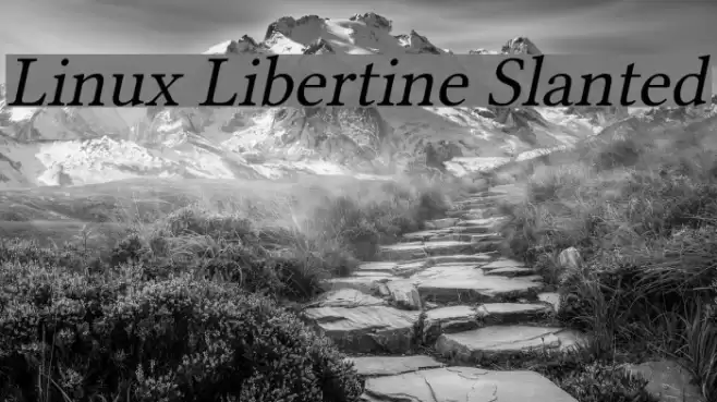 Linux Libertine Slanted Font examples