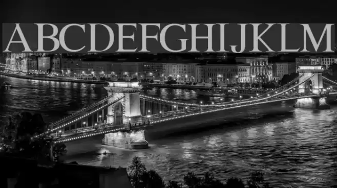 Lion kinG Fonte examples