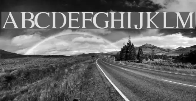 Lion kinG Fonte examples