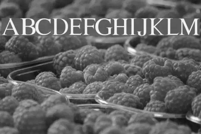 Lion kinG Fonte examples