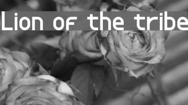 Lion of the tribe Font examples