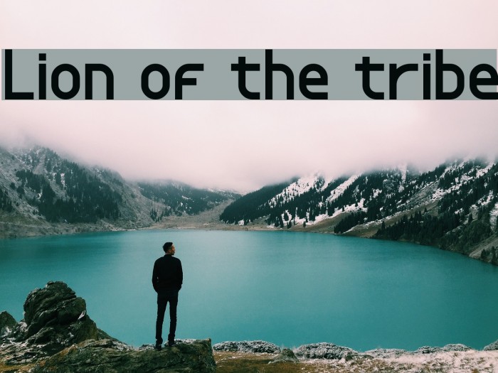 Lion of the tribe Example 3