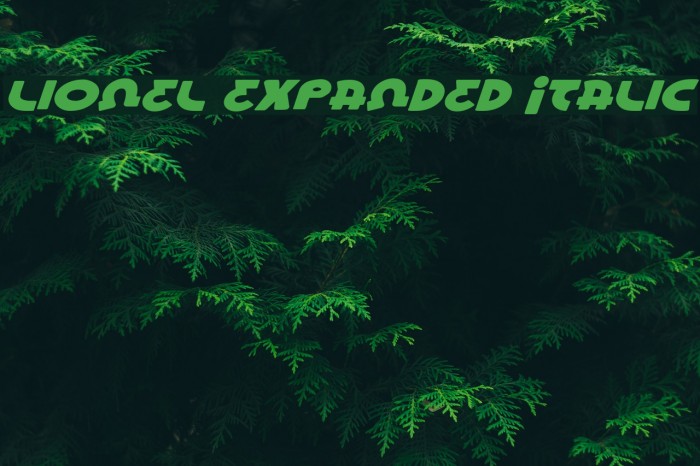 Lionel Expanded Italic Шрифта examples