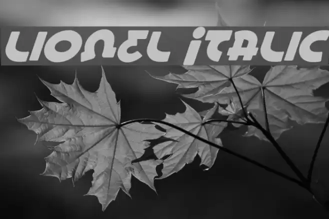Lionel Italic フォント examples