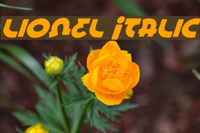 Lionel Italic フォント examples