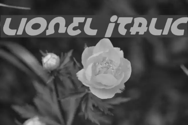Lionel Italic フォント examples