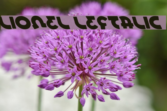 Lionel Leftalic Font examples