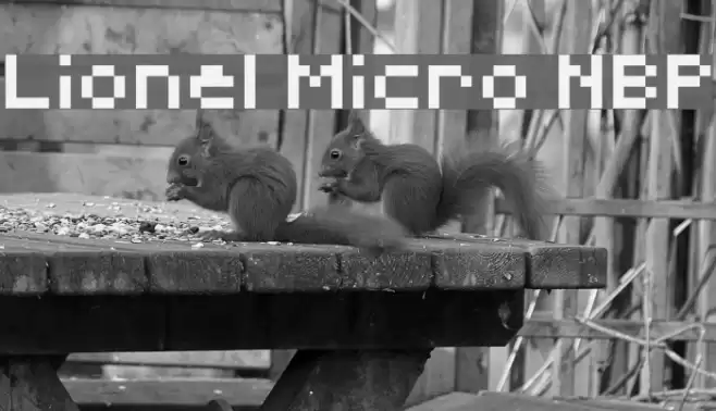 Lionel Micro NBP Font examples