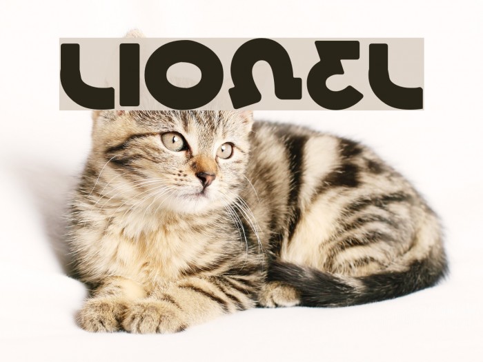 Lionel Font examples