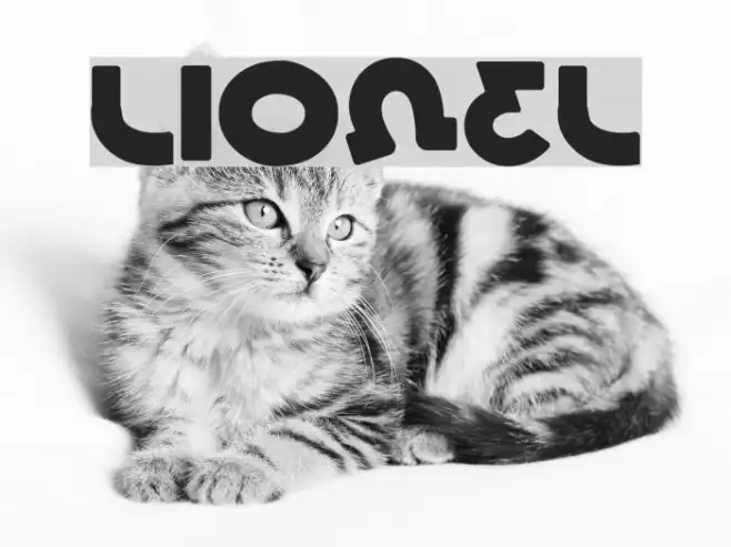 Lionel Example 1