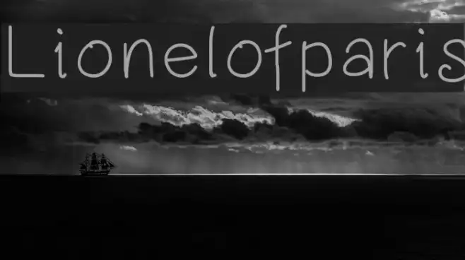 Lionelofparis Example 1