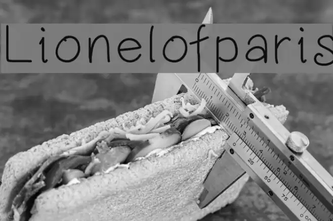 Lionelofparis Example 2
