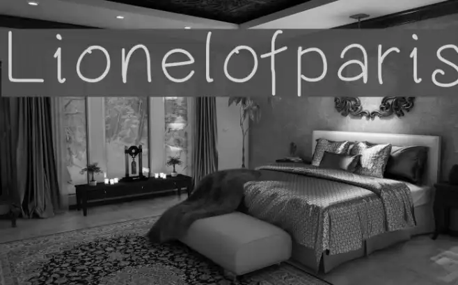 Lionelofparis Example 3