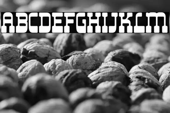 LiongPersonalUse-Regular Font examples